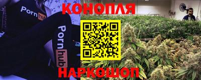 прущие грибы Малоярославец