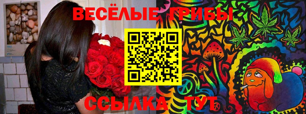 Галлюциногенные грибы ЛСД Верхняя Салда