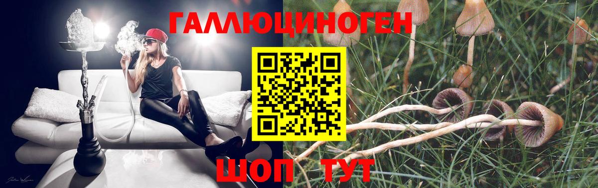 Галлюциногенные грибы GOLDEN TEACHER  Псилоцибиновые грибы Psilocybine cubensis  где найти   Вход с VPN  Верхняя Салда 